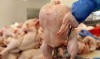 رکود بازار قیمت مرغ را پر پر کرد | قیمت مرغ امروز یکشنبه 1 خرداد 1401 در بازار